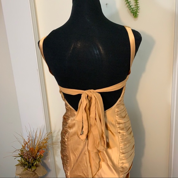 Dina Barel Soft Gold Tone Silk Flattering Dress - Picture 9 of 16
